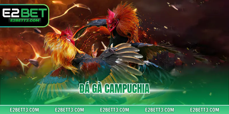 Đá Gà Campuchia - Full Trận Đấu Hấp Dẫn, Thưởng Khủng