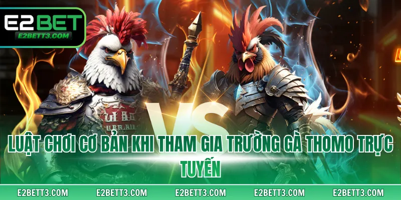 Luật chơi cùng quy định cơ bản khi tham gia trường gà Thomo trực tuyến
